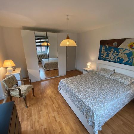 Magnifique Villa A 5 Minutes De Colmar Horbourg Kültér fotó